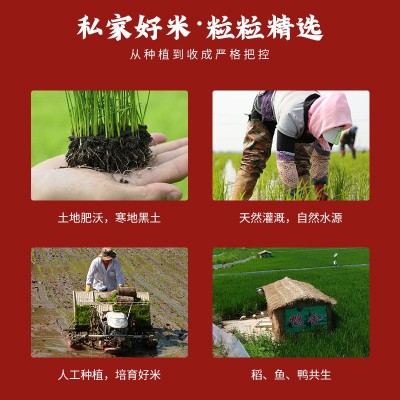 2023年新米当季新米 东北大米 秋田小町 圆粒大米2.5kg 包邮真空装图5