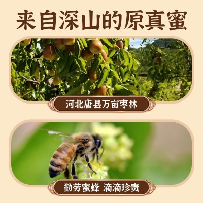 太行山里好味道枣花蜂蜜500g农家自产自然成熟土蜂蜜伴手礼代发图3