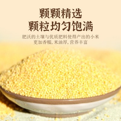 木兰红小米2.5kg五谷杂粮粗粮优质小米唐县特产当季新米小黄米图4