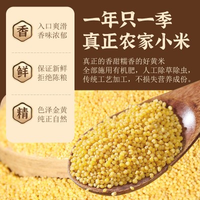 木兰红小米2.5kg五谷杂粮粗粮优质小米唐县特产当季新米小黄米图3