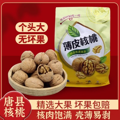 河北唐县木兰红薄皮核桃纸皮核桃袋装500g坚果干果新货原味图4