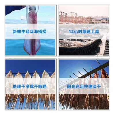 大连干贝瑶柱海鲜扇贝肉干货野生海产品贝柱水产新鲜商用辅煲汤淡图4