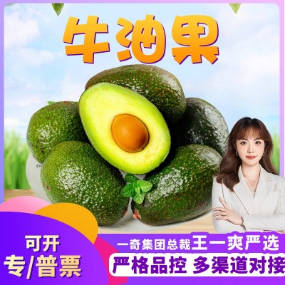 【严选】秘鲁牛油果代发2/6枚鳄梨巨无霸奶油果新鲜宝宝辅食水果