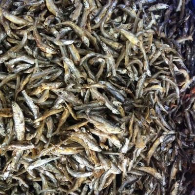 湖南油炸小公鱼淡水小河鱼小河虾干货农家自制油炸小鱼干批发