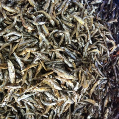湖南油炸小公鱼淡水小河鱼小河虾干货农家自制油炸小鱼干批发图3