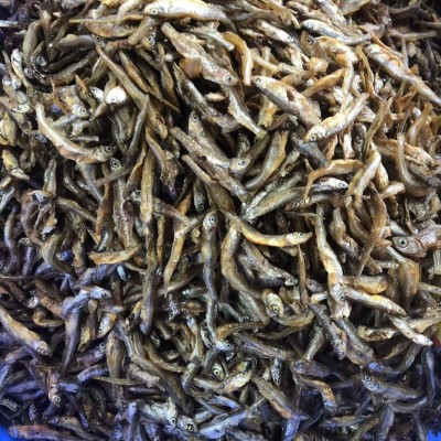 湖南油炸小公鱼淡水小河鱼小河虾干货农家自制油炸小鱼干批发图4
