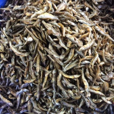 湖南油炸小公鱼淡水小河鱼小河虾干货农家自制油炸小鱼干批发图2