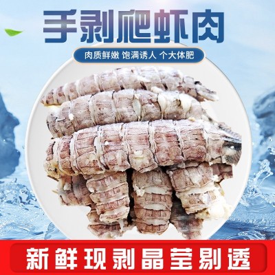 批发爬虾肉皮皮虾肉虾菇肉纯肉琵琶虾纯手工剥皮餐饮专用海捕