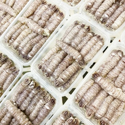 批发爬虾肉皮皮虾肉虾菇肉纯肉琵琶虾纯手工剥皮餐饮专用海捕图4
