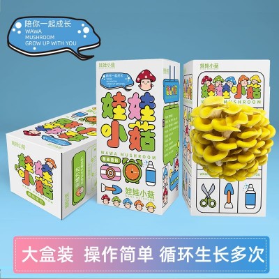 平菇菌包菌种食用袋装菌蘑菇种植菌包阳台趣味盒装diy儿童礼物