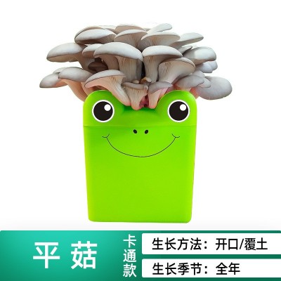 蘑菇种植包食用菌平菇棒包家庭种植礼品含盆阳台diy桶装卡通款图5