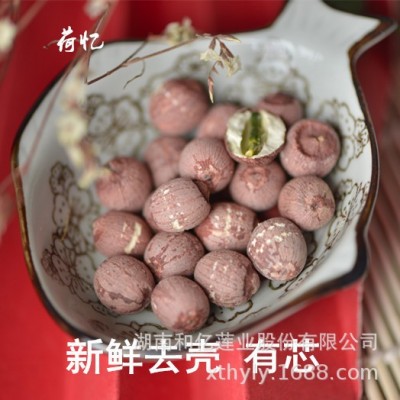 带芯红莲子无硫莲子湘潭莲子粉糯新鲜产地原料批发包邮带芯红莲子