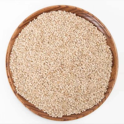 当季新货不脱皮生白芝麻免洗即食可榨油农家自产大量现货一件代发图5
