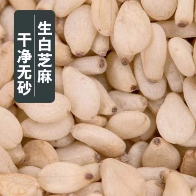 当季新货不脱皮生白芝麻免洗即食可榨油农家自产大量现货一件代发