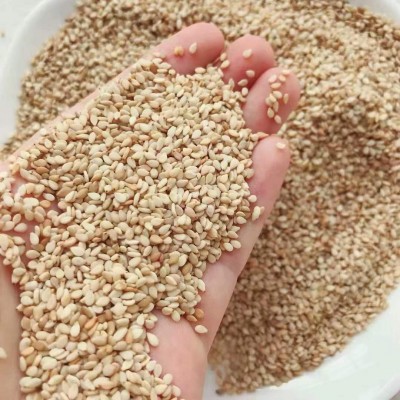 当季新货不脱皮生白芝麻免洗即食可榨油农家自产大量现货一件代发图3