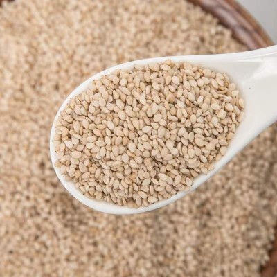 当季新货不脱皮生白芝麻免洗即食可榨油农家自产大量现货一件代发图2