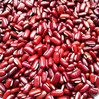 当季新货东北赤小豆农家自产红豆薏米五谷杂粮原料现货一件代发图4