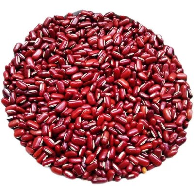 当季新货东北赤小豆农家自产红豆薏米五谷杂粮原料现货一件代发图5