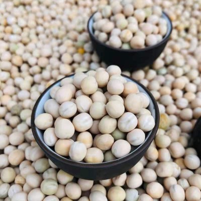 当季新货白豌豆黄豌豆麻豌豆可发芽五谷杂粮原料大量现货一件代发图3