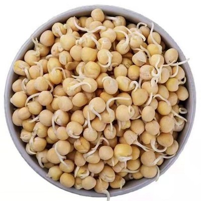 当季新货白豌豆黄豌豆麻豌豆可发芽五谷杂粮原料大量现货一件代发图4