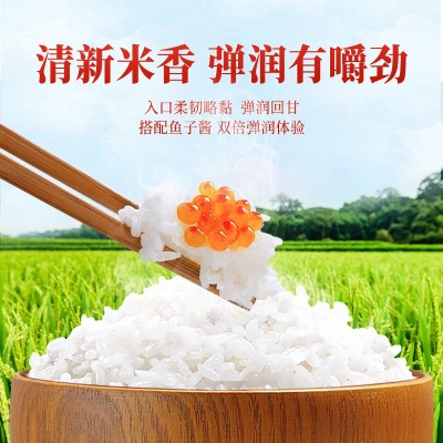 正宗东北长粒香米10斤当季新米东北大米5kg粳米农产品批发非真空