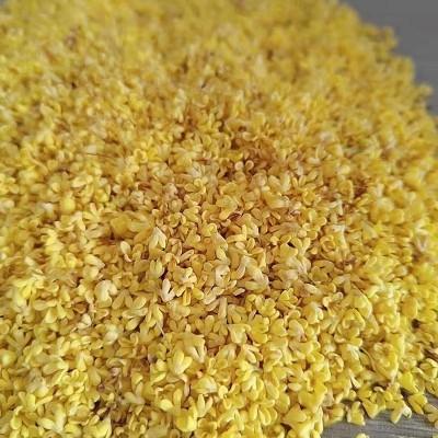 桂花茶桂林厂家直发微波桂花干真空低温脱水桂花桂林金桂花干图4