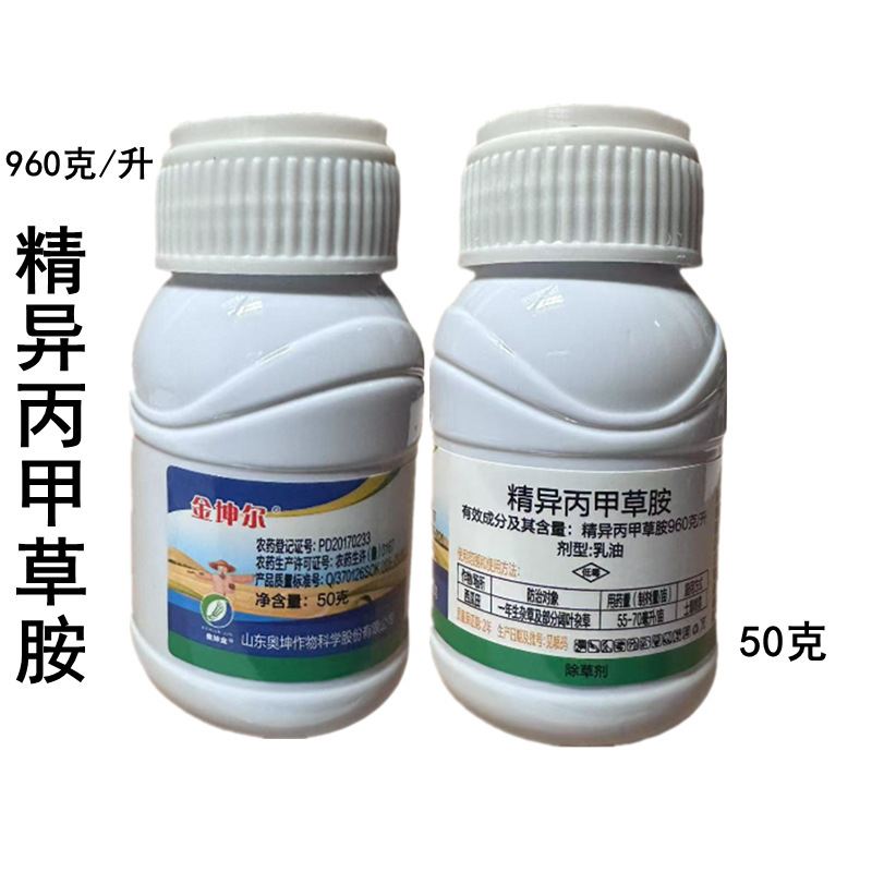 金坤尔3_副本