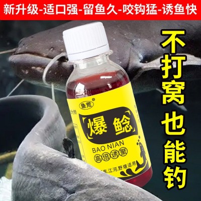 鱼荒爆鲶，四季钓鱼小药诱鲶鱼诱食开口剂大口鲶鱼疯鱼饵料窝料