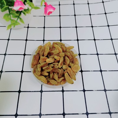 新货葡萄干500g 新疆特产提子干 无核葡萄干散装干果零食批发图4