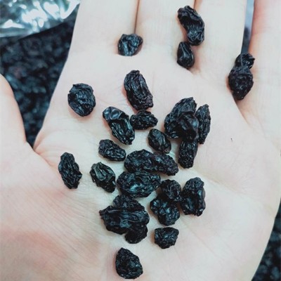 商用散装批发小颗粒新疆特产免洗提子干黑葡萄干黑加仑葡萄干