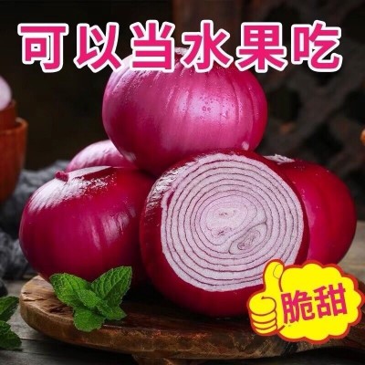 正宗云南紫皮洋葱圆葱葱头新鲜应季蔬菜农家甜可生吃红洋葱头