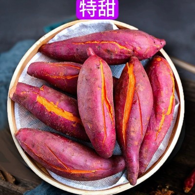 正宗六鳌蜜薯糖心板栗红薯新鲜沙地红心番薯整箱农家自种山芋烤地