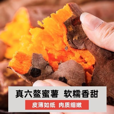 正宗六鳌蜜薯糖心板栗红薯新鲜沙地红心番薯整箱农家自种山芋烤地图4