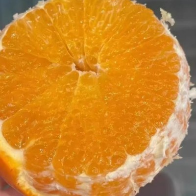 正宗四川眉山青见果冻橙新鲜水果现摘现发当季水果橙子整箱批发价