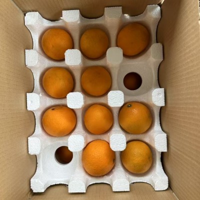 正宗四川眉山青见果冻橙新鲜水果现摘现发当季水果橙子整箱批发价图2