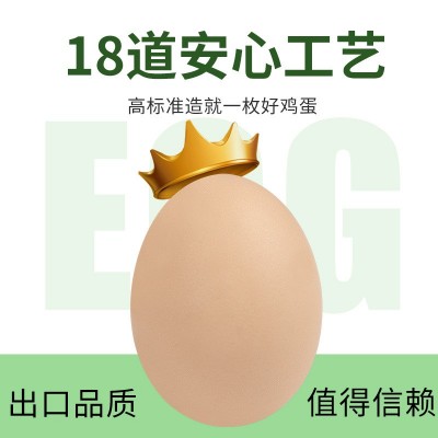 【出口级】叶黄素可生食鸡蛋农家谷物喂养无菌蛋无抗营养可代发图4