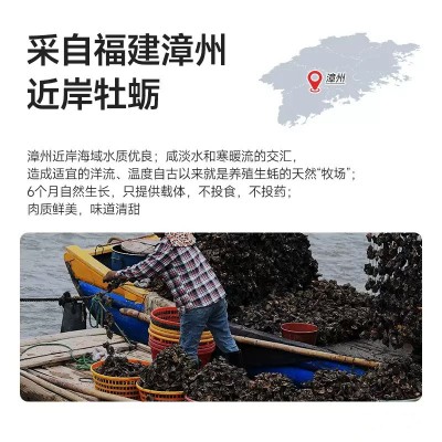 蚝油0添加260g家用商用提鲜炒菜烹饪凉拌腌制调味品厂家批发图4