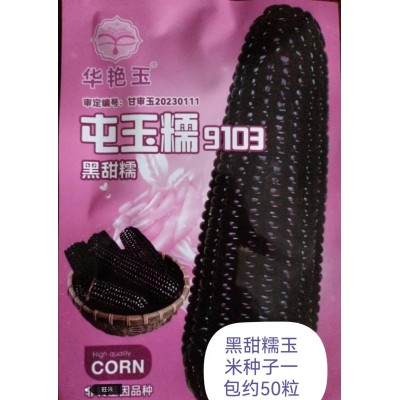 黑甜糯玉米黑糯玉米种子耐高温紫玉米种籽四季大田春夏蔬菜种子图5