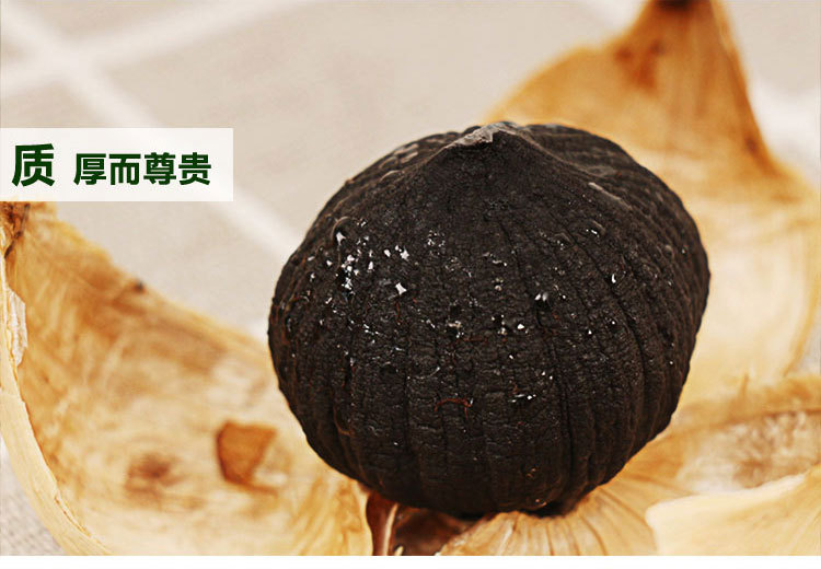 罐装独头500_11.jpg