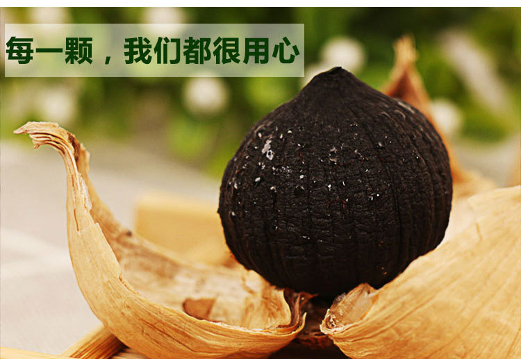 罐装独头500_13.jpg