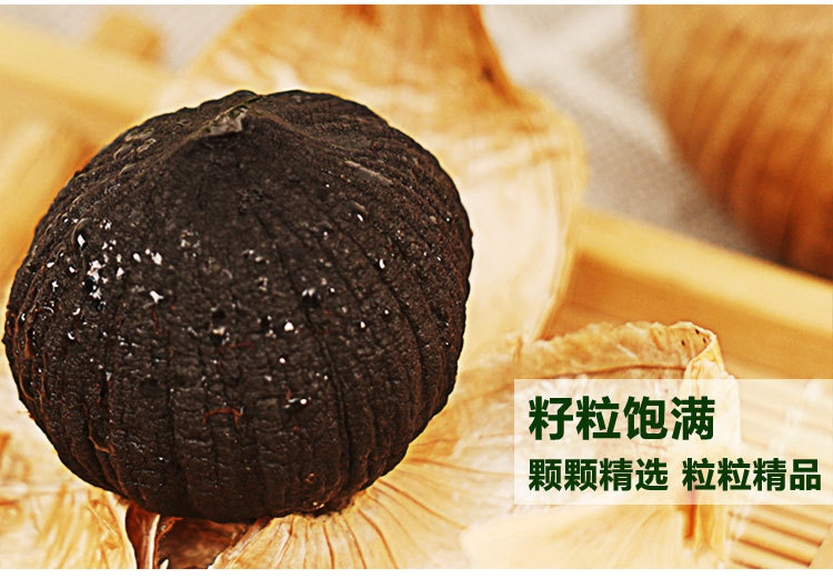 罐装独头500_12.jpg