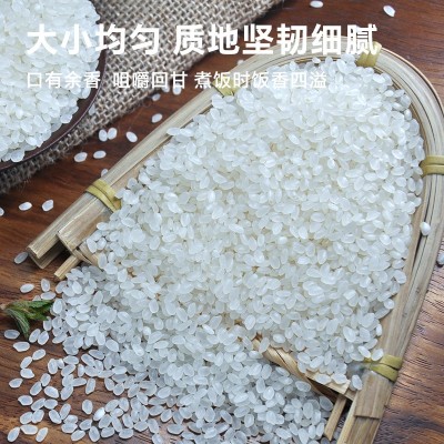 鸿辰贡米大米香米2.5公斤餐饮专用大米食堂籼米长粒新米批发图3