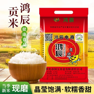 鸿辰贡米大米香米5斤餐饮专用大米食堂籼米长粒新米批发