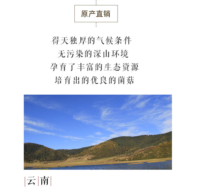 雪山松茸_04