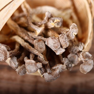 鹿茸菇干货500g鹿茸菌云南非野生脆脆菌菇煲汤蘑菇批发团购菌汤包