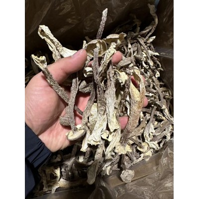 鹿茸菇干货500g鹿茸菌云南非野生脆脆菌菇煲汤蘑菇批发团购菌汤包图5