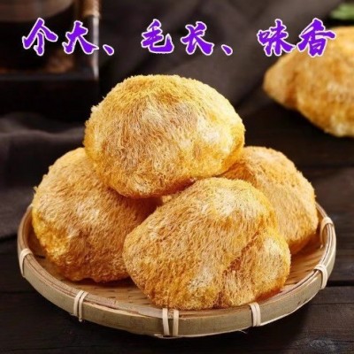古田深山猴头菇干货煲汤猴菇非新鲜250g菌菇袋装直销养胃猴头菌图1