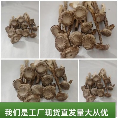云南特产源头厂家鹿茸菇菌菇干货批发散装袋装食用菌批发特色菌菇图3