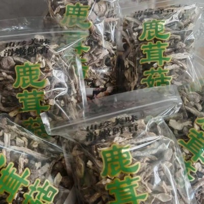 云南特产源头厂家鹿茸菇菌菇干货批发散装袋装食用菌批发特色菌菇图2