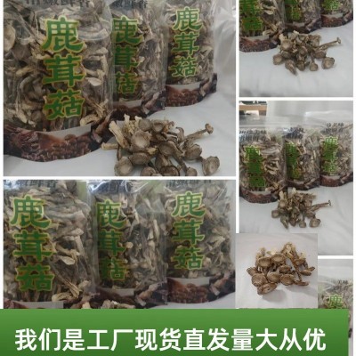 云南特产源头厂家鹿茸菇菌菇干货批发散装袋装食用菌批发特色菌菇图5